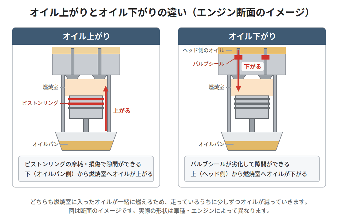 オイル上がりはピストンリングの隙間から下から、オイル下がりはバルブシールの劣化で上から、それぞれ燃焼室へオイルが入ることを示したエンジン断面のイメージ図